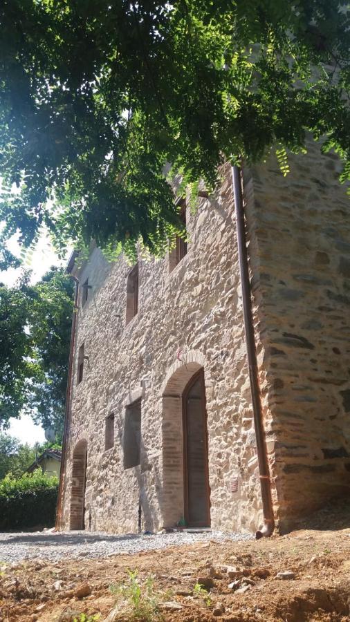 Dolce Vita In Tuscany Cottage Capannori Kültér fotó