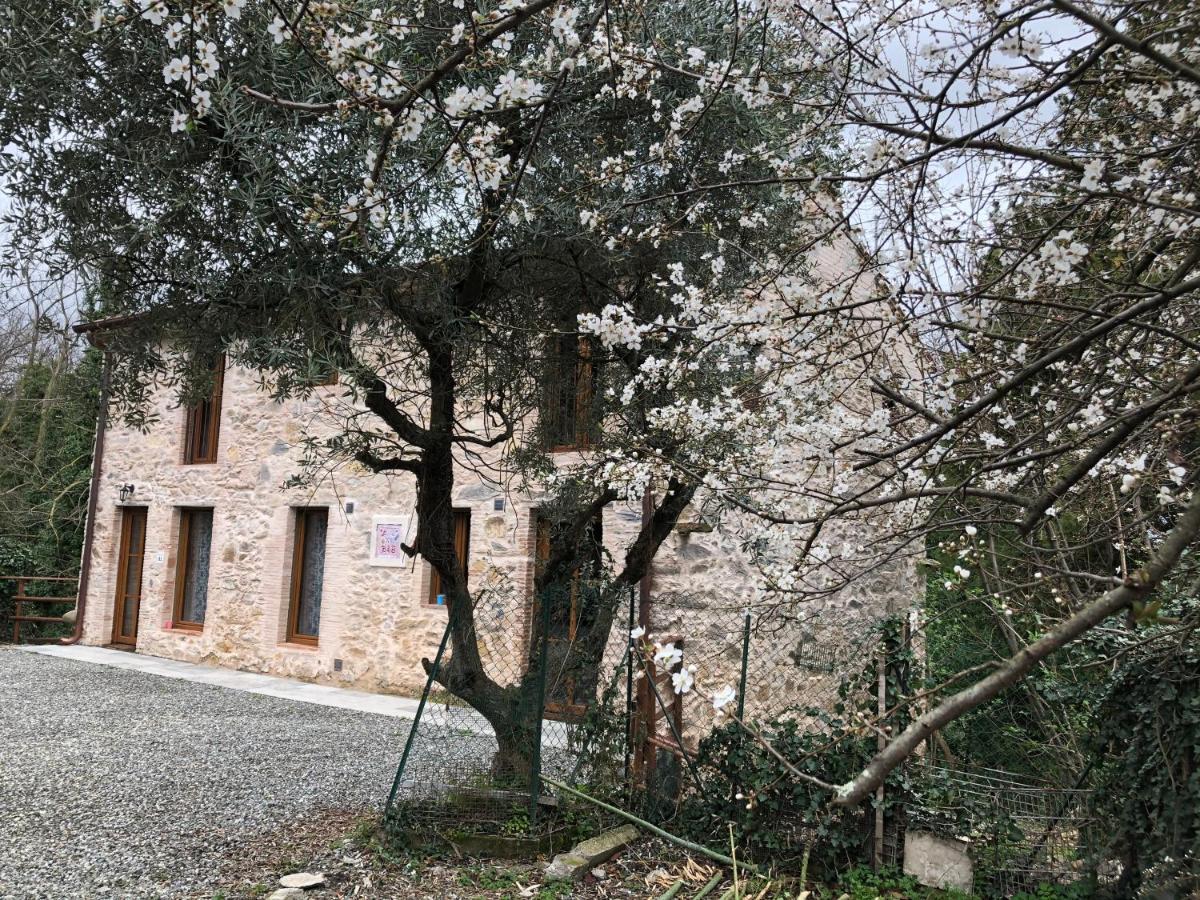 Dolce Vita In Tuscany Cottage Capannori Kültér fotó