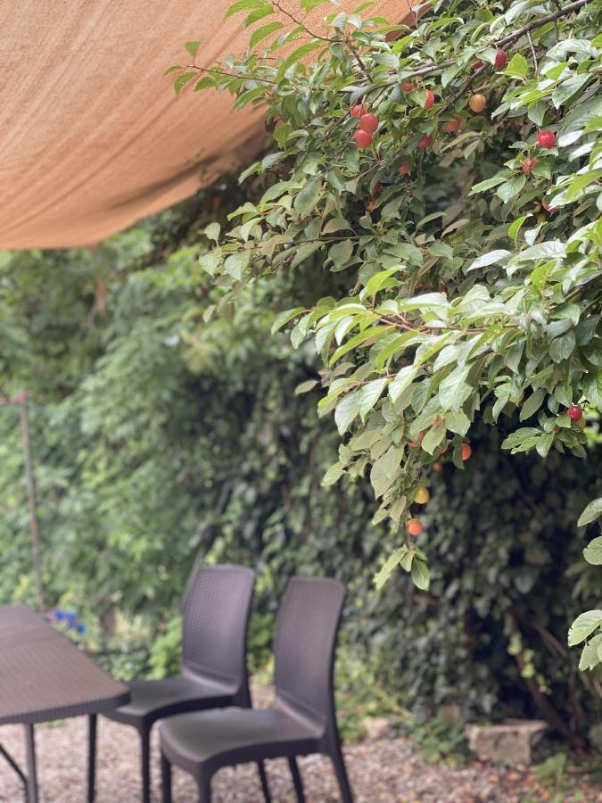 Dolce Vita In Tuscany Cottage Capannori Kültér fotó