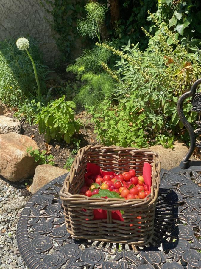 Dolce Vita In Tuscany Cottage Capannori Kültér fotó