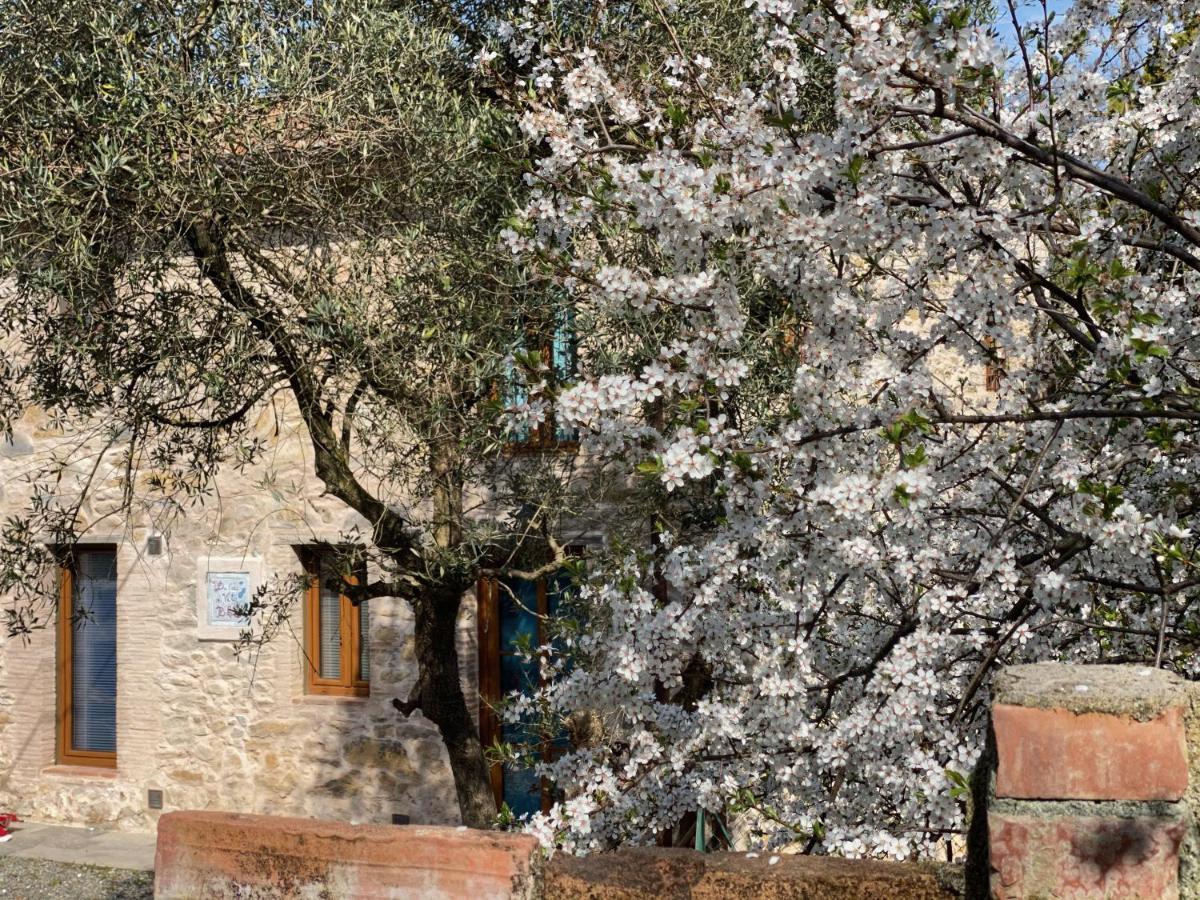 Dolce Vita In Tuscany Cottage Capannori Kültér fotó