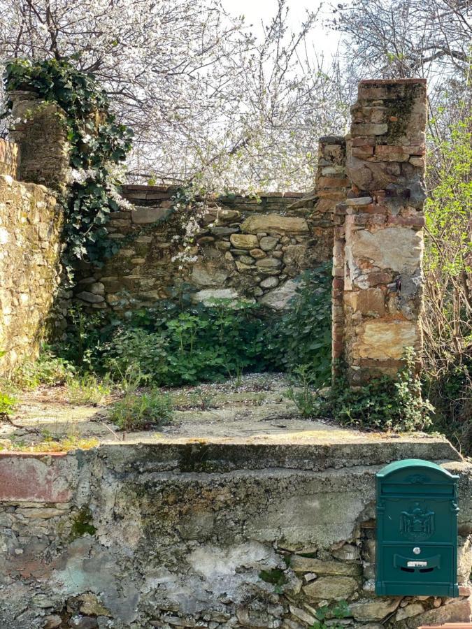 Dolce Vita In Tuscany Cottage Capannori Kültér fotó