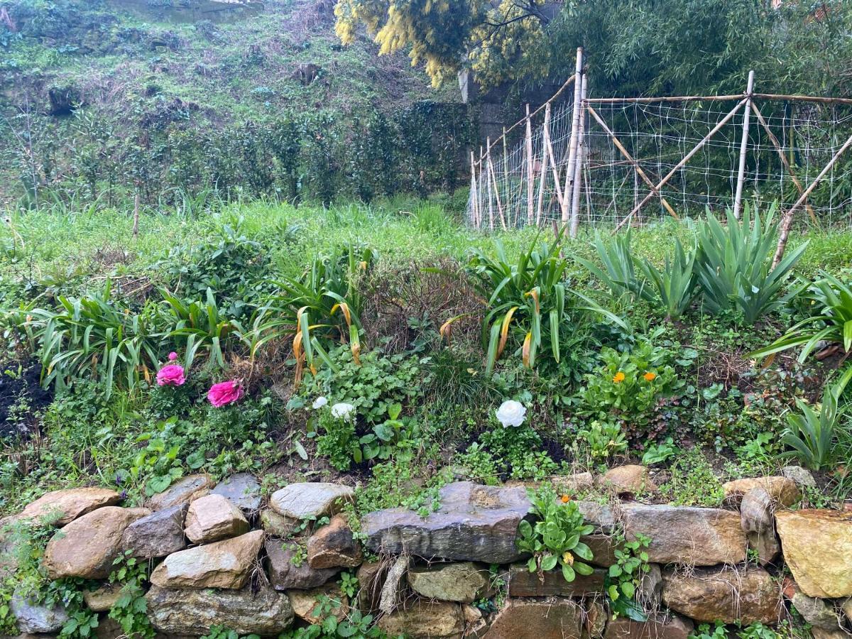 Dolce Vita In Tuscany Cottage Capannori Kültér fotó