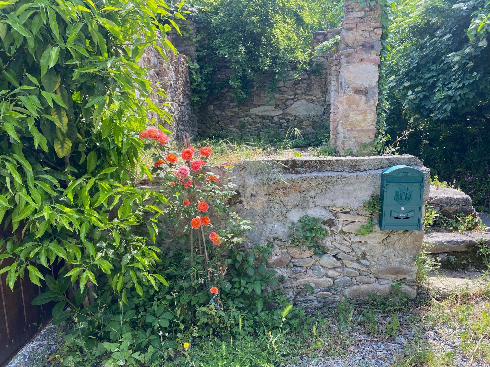 Dolce Vita In Tuscany Cottage Capannori Kültér fotó