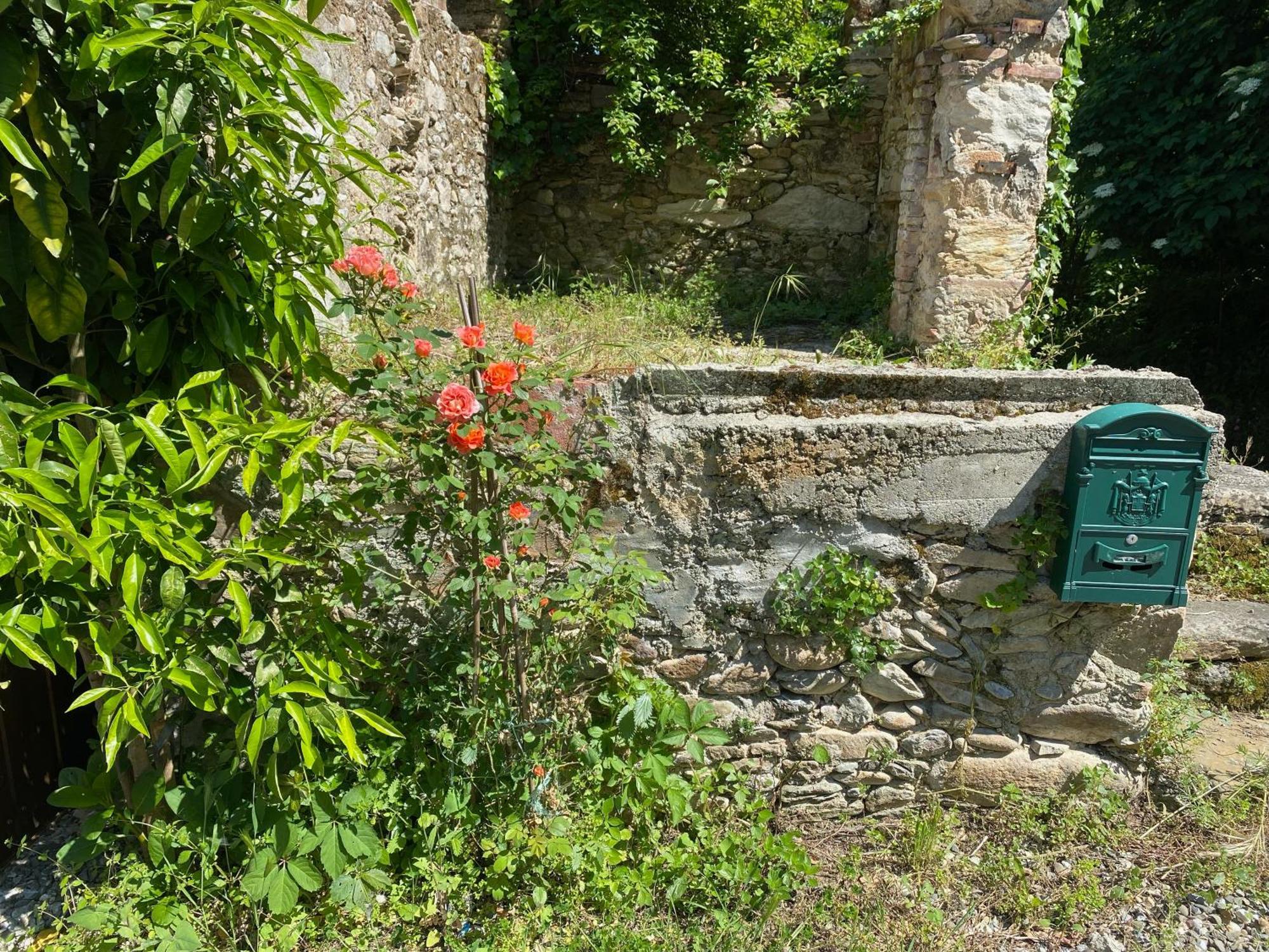 Dolce Vita In Tuscany Cottage Capannori Kültér fotó